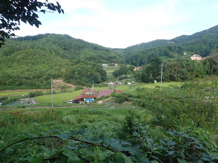 お墓参り_c0116915_00344610.jpg