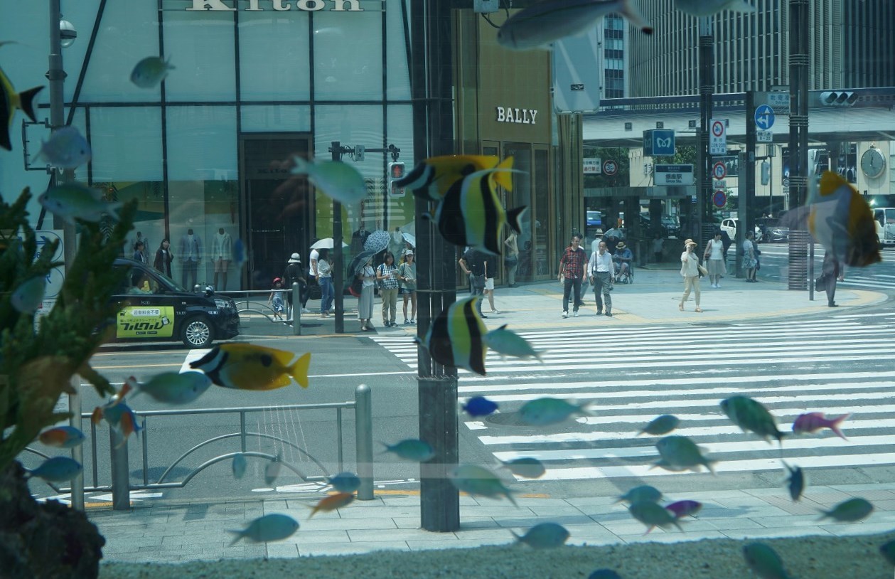 d0065116_22501252.jpg