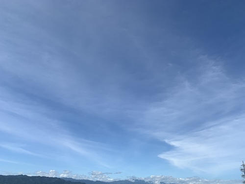 f0251618_20525518.jpg