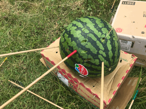 c0221521_07571132.gif