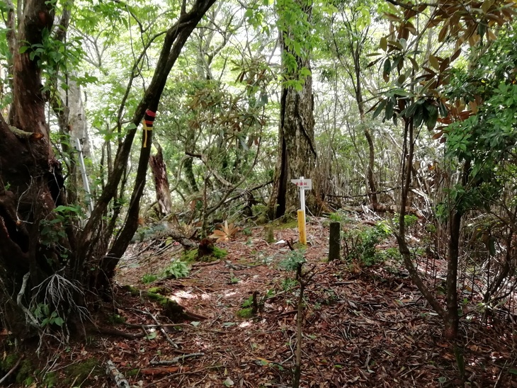 f0193521_5574790.jpg