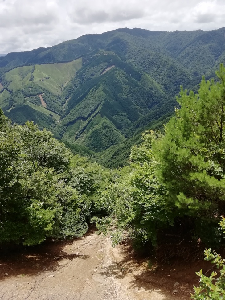 f0193521_642338.jpg