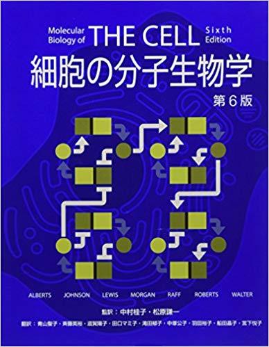 知識と情報へのバリアフリー化 : 大隅典子の仙台通信