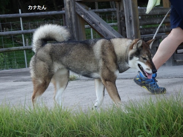 f0143123_09474552.jpg