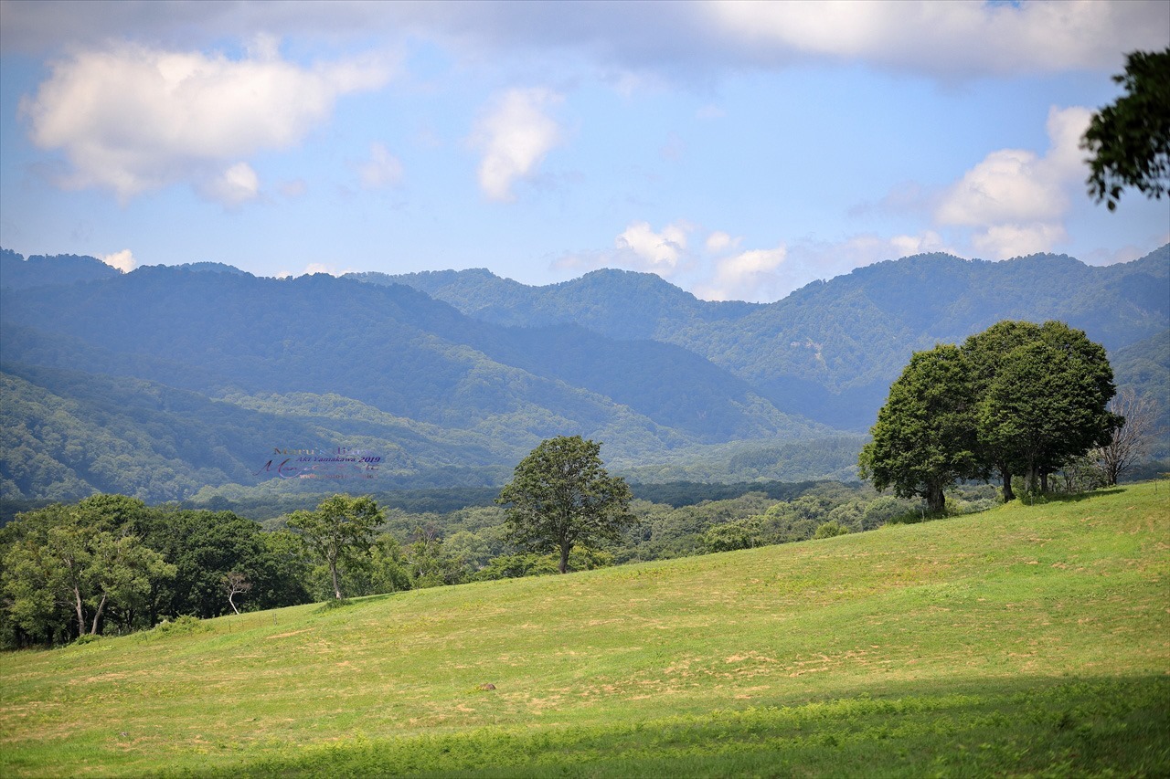 d0342426_14535109.jpg
