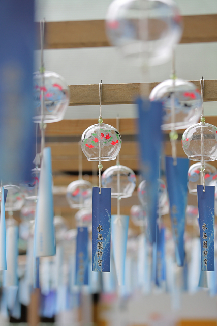 京の夏の旅2019 －水無瀬神宮－_b0169330_2240640.jpg