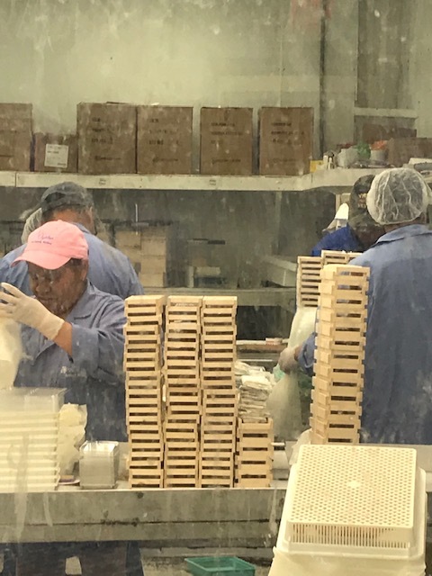 d0269832_02160827.jpeg