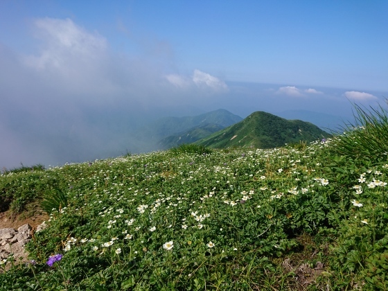 f0118332_08252212.jpg