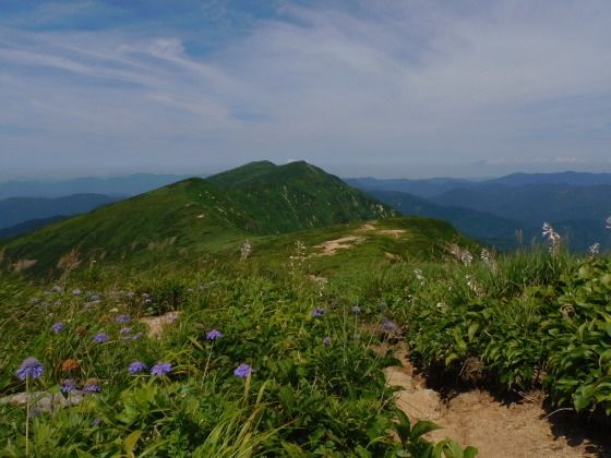 f0118332_09233109.jpg