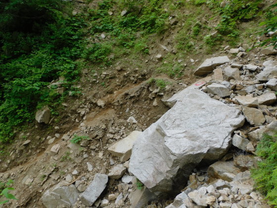 f0118332_09234504.jpg