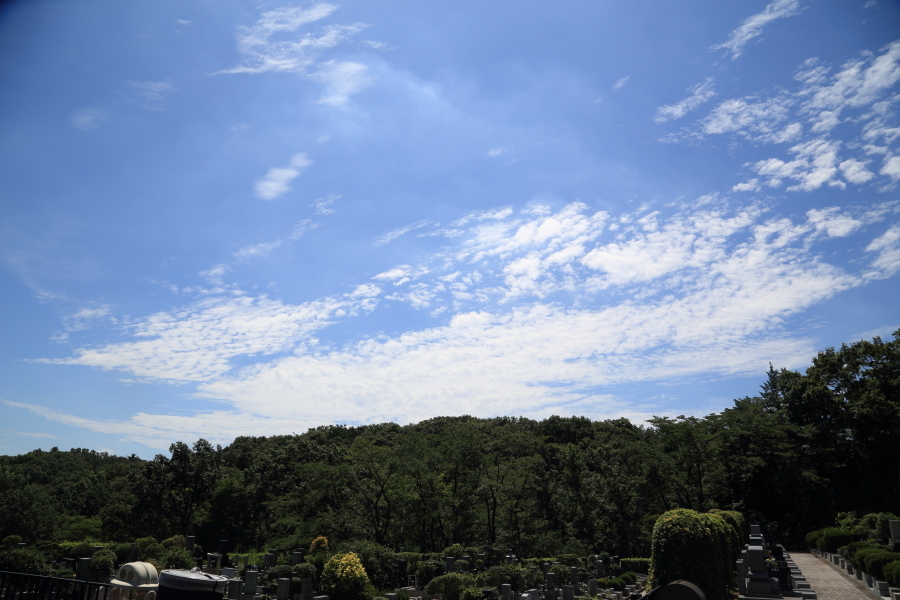 f0229832_08082800.jpg
