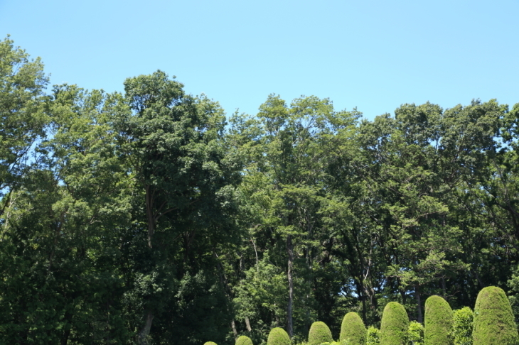 f0229832_08083535.jpg