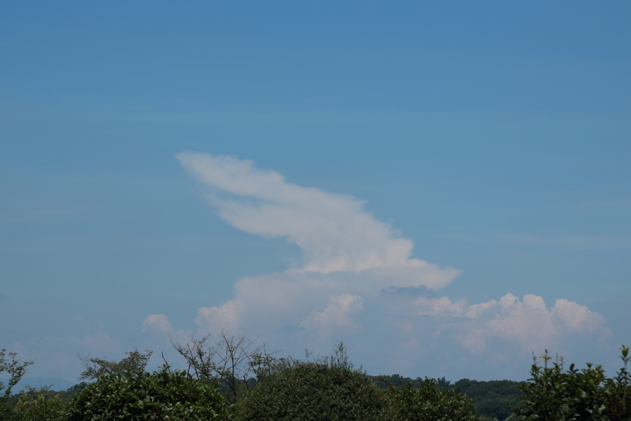 f0229832_08084590.jpg