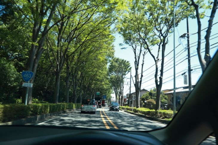 f0229832_08093152.jpg
