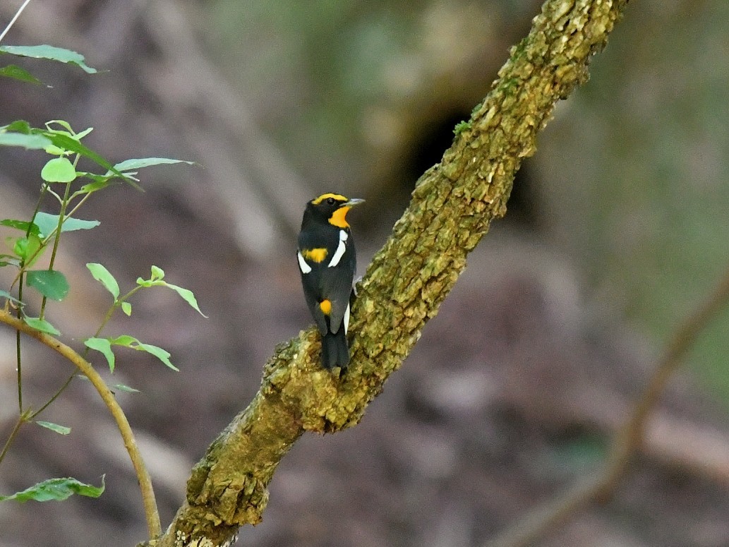 f0340732_22490114.jpg