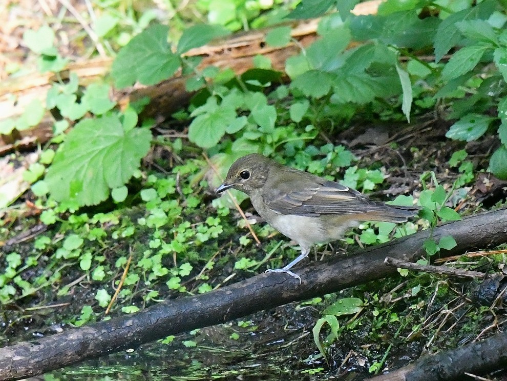f0340732_22521874.jpg