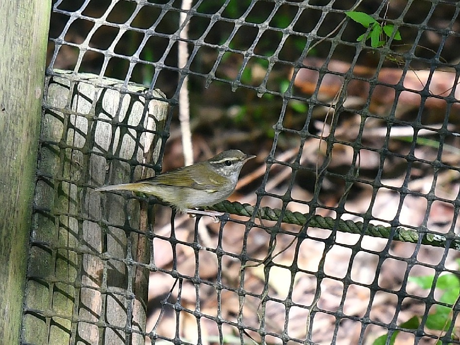f0340732_22521886.jpg
