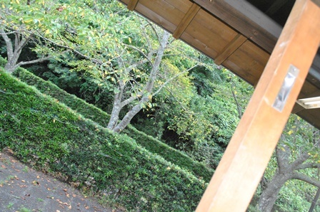 a0123836_16084324.jpg