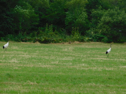 c0338136_21472004.jpg