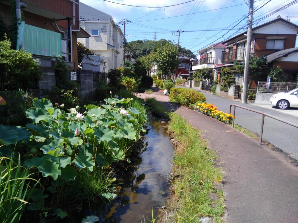 画像情報