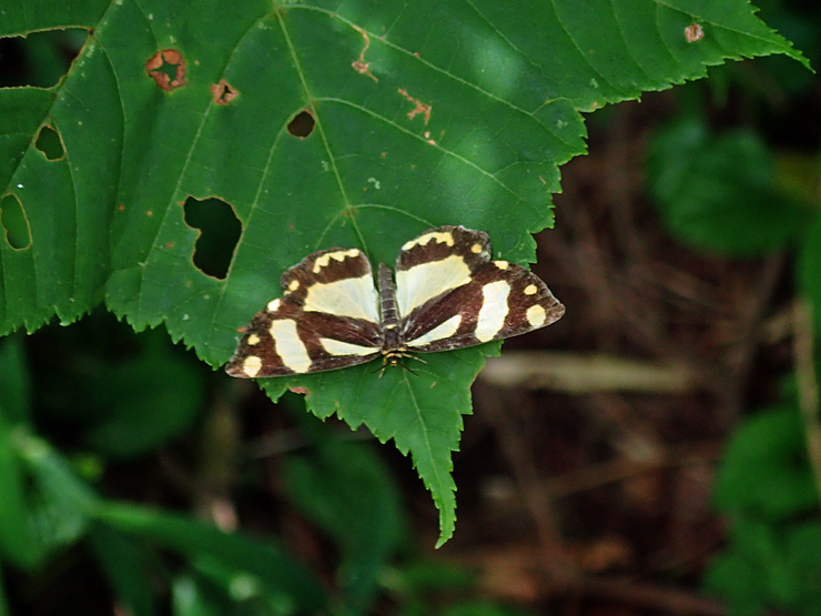 f0214649_03433539.jpg