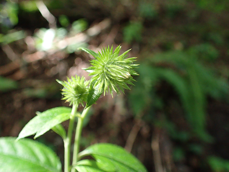 f0214649_04030950.jpg