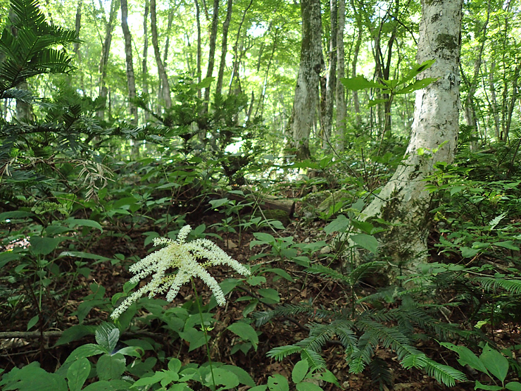 f0214649_04233076.jpg