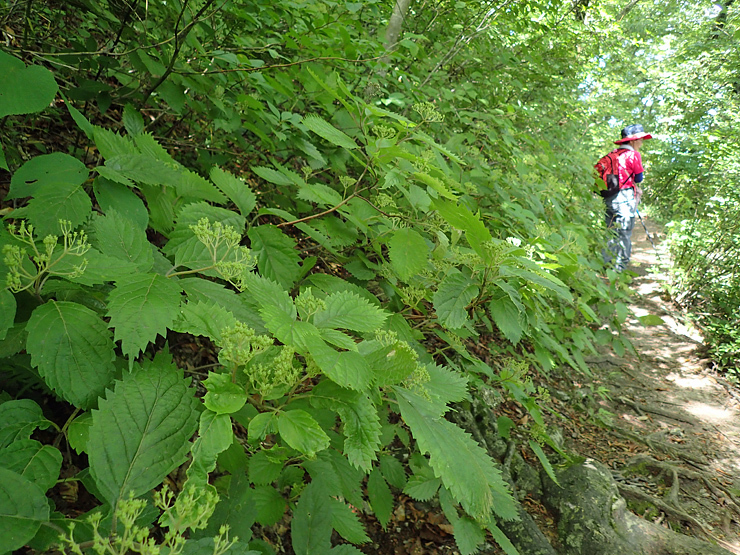 f0214649_04235677.jpg