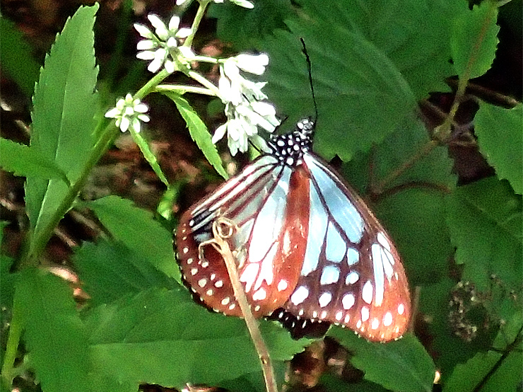 f0214649_16032323.jpg