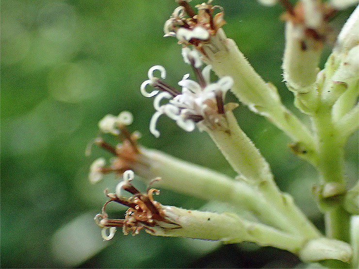 f0214649_16174061.jpg