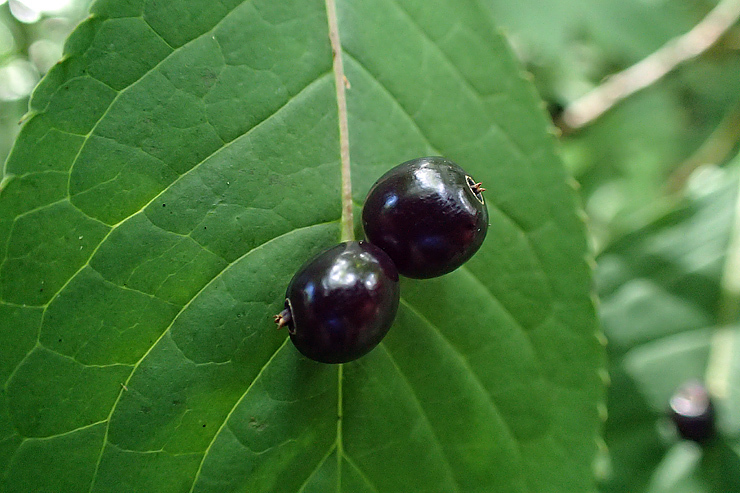 f0214649_16402470.jpg