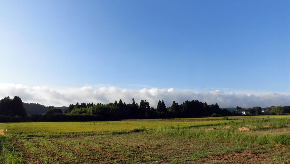 e0024554_22560014.jpg