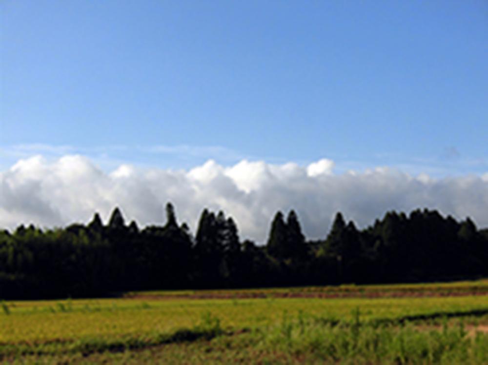e0024554_22560055.jpg