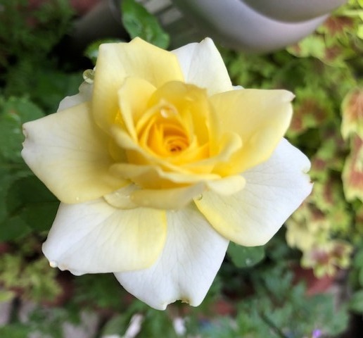 e0028056_02395234.jpg