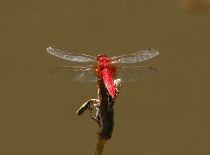 a0248459_13324163.jpg