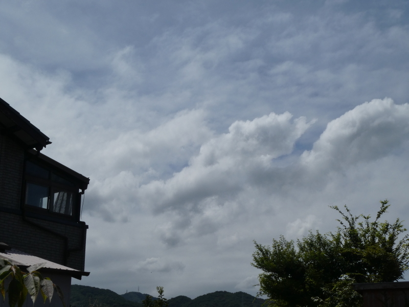 c0108460_11305159.jpg