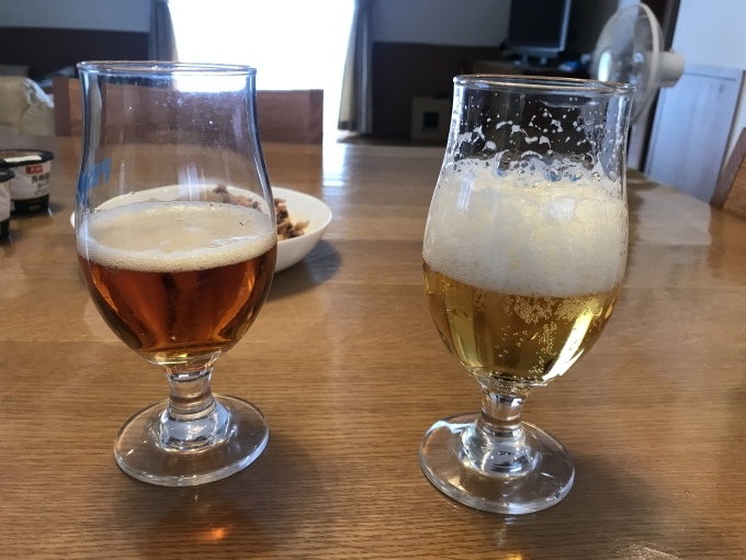 日本の夏はビールと冷やしうどん_b0100062_18501735.jpeg