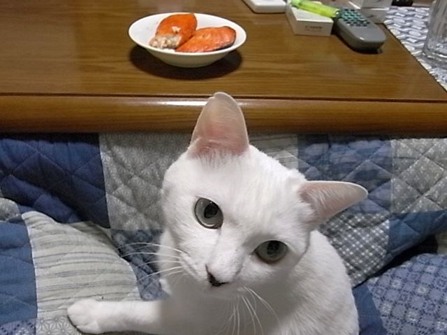 e0220163_10231741.jpg