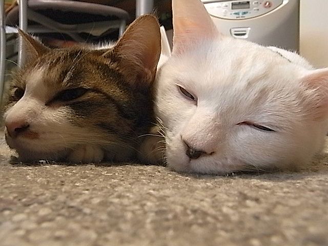 e0220163_10232603.jpg