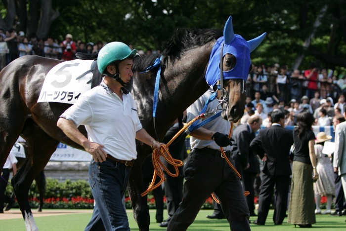 相次ぐ大種牡馬の早世 ディープインパクトに続いて キングカメハメハも逝く 04年日本ダービー Turfに魅せられて 写真紀行 相次ぐ大種牡馬の早世 ディープインパクトに続いて キングカメハメハも逝く 04年日本ダービー Turfに魅せられて 写真紀行