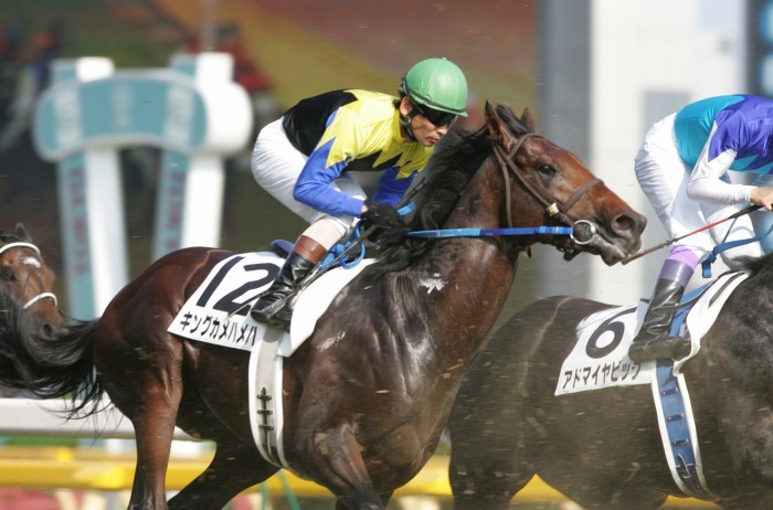 相次ぐ大種牡馬の早世 ディープインパクトに続いて キングカメハメハも逝く 04年日本ダービー Turfに魅せられて 写真紀行 相次ぐ大種牡馬の早世 ディープインパクトに続いて キングカメハメハも逝く 04年日本ダービー Turfに魅せられて 写真紀行