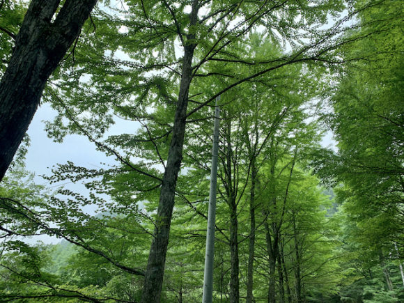b0274270_18125883.jpg