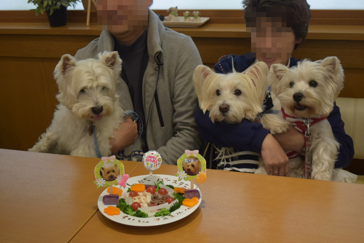 b0242873_22454912.png