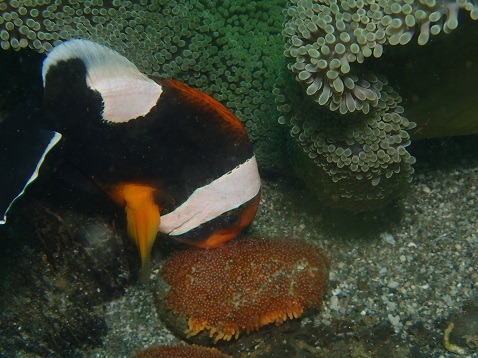 d0363174_22205322.jpg