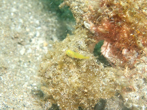 d0363174_22210450.jpg