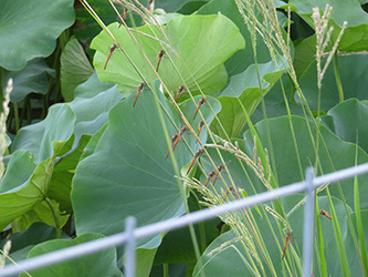 b0057675_14334404.jpg