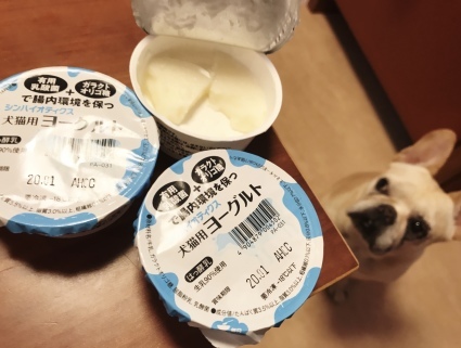 フローズンヨーグルト 犬の ８ のブログ