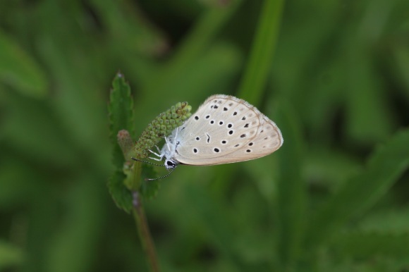 e0188677_23490132.jpg