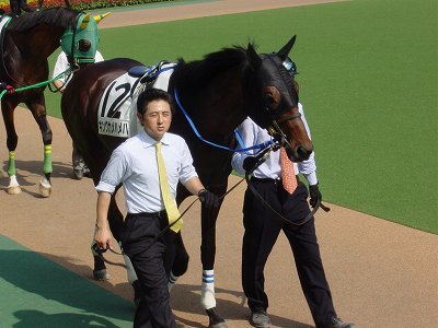 キングマンボ系の大種牡馬&2004年ダービー馬 キングマンボ系の大種牡馬&2004年ダービー馬