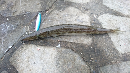 e0015490_21413800.jpg